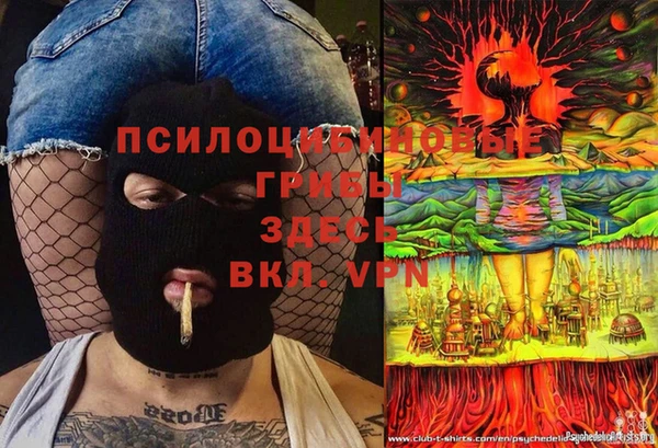 бутират Алексин